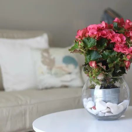 Sea Shell Apartment